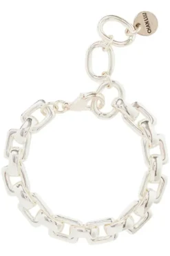Chan Luu Inc. Chan Luu Ellis Chain Link Bracelet in^ Bracelets