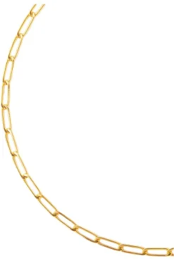 Chan Luu Inc. Chan Luu Link Necklace in^ Necklaces