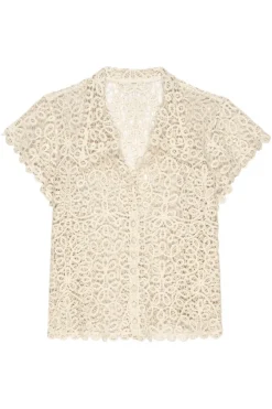 The Great Lattice Top in^ Tops