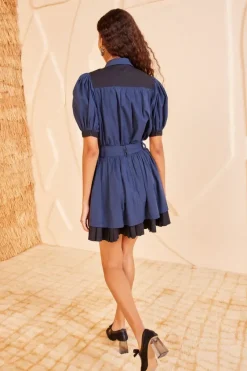 Ulla Johnson Freja Top in^ Dresses & Jumpsuits